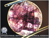 Advance Gemology
