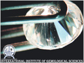 Gem Identification Course 