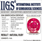 GEM ID. REPORT ( CARD )