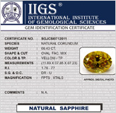 ADVANCE REPORT ON CD