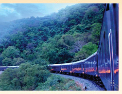 Golden Chariot Train