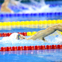 Swimming Pool Competiion Equipments