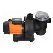Pool Pump